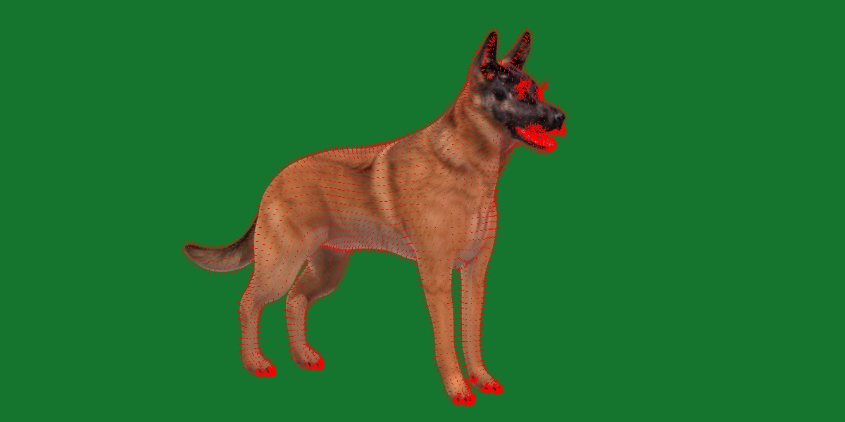 Belgian Shepherd Dog  Low-poly 3D model_11