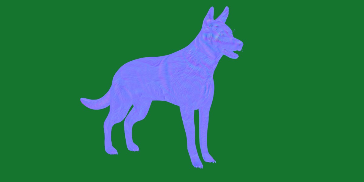 Belgian Shepherd Dog  Low-poly 3D model_4