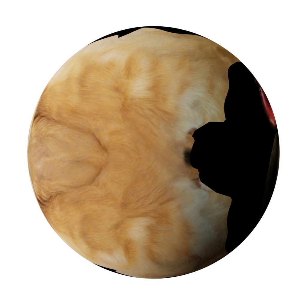 Belgian Shepherd Dog  Low-poly 3D model_34