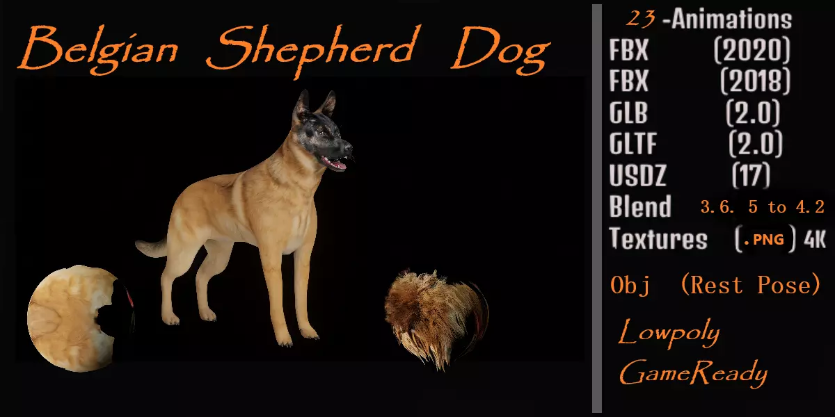 Belgian Shepherd Dog  Low-poly 3D model_0
