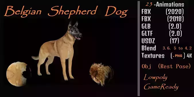 Belgian Shepherd Dog  Low-poly 3D model