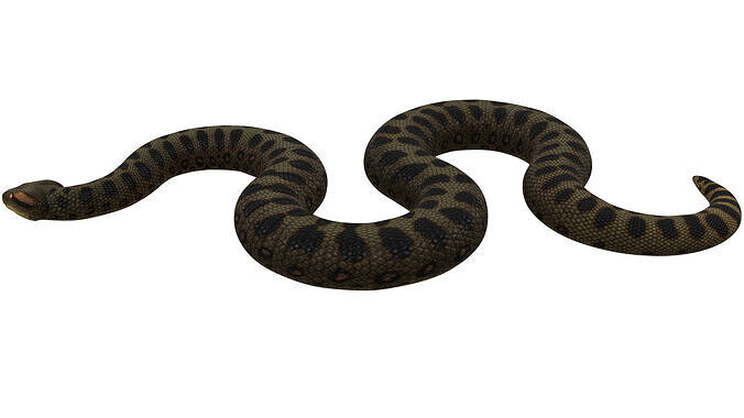 Green Anaconda 3D model