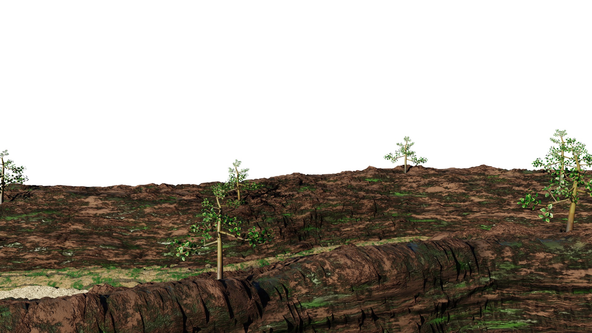 Dry River Valley Terrain 3D Model Low-poly 3D model_1