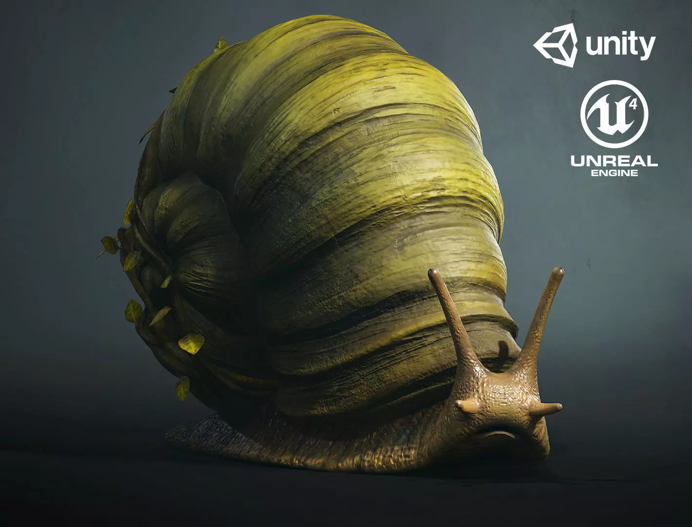 Land snail3 - Game Ready Low-poly 3D model Low-poly 3D model_0