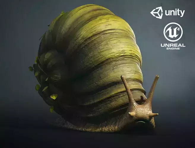 Land snail3 - Game Ready Low-poly 3D model