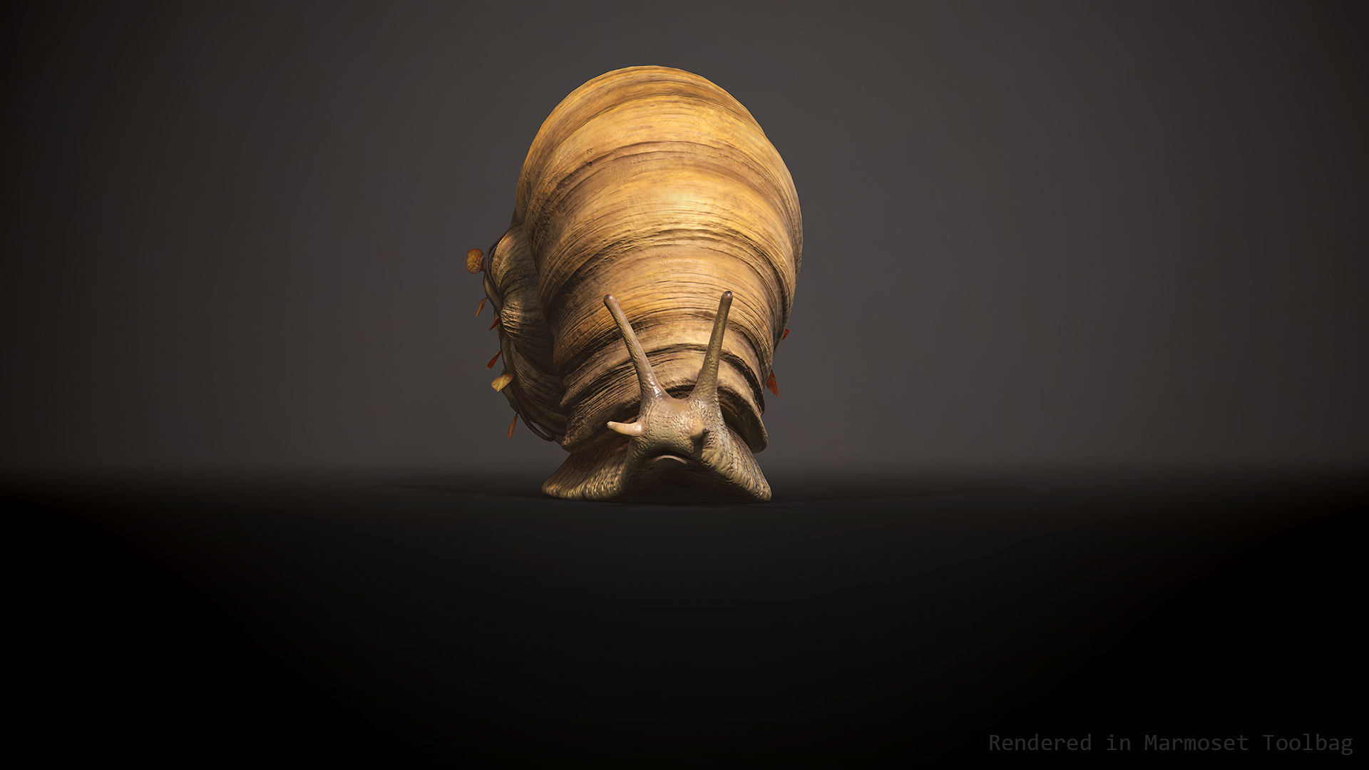 Land snail3 - Game Ready Low-poly 3D model Low-poly 3D model_4
