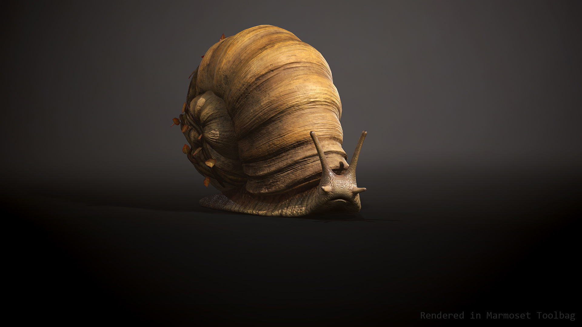 Land snail3 - Game Ready Low-poly 3D model Low-poly 3D model_3