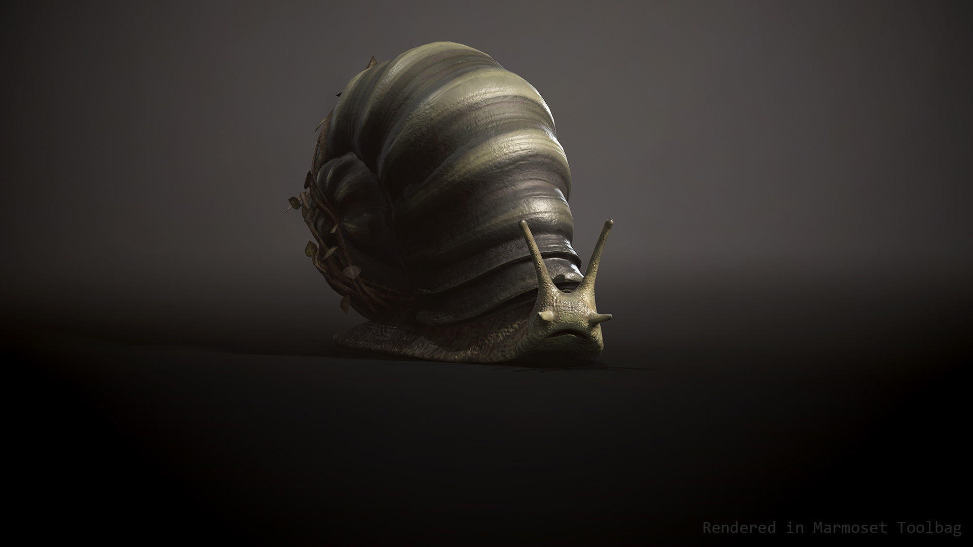 Land snail3 - Game Ready Low-poly 3D model Low-poly 3D model_7