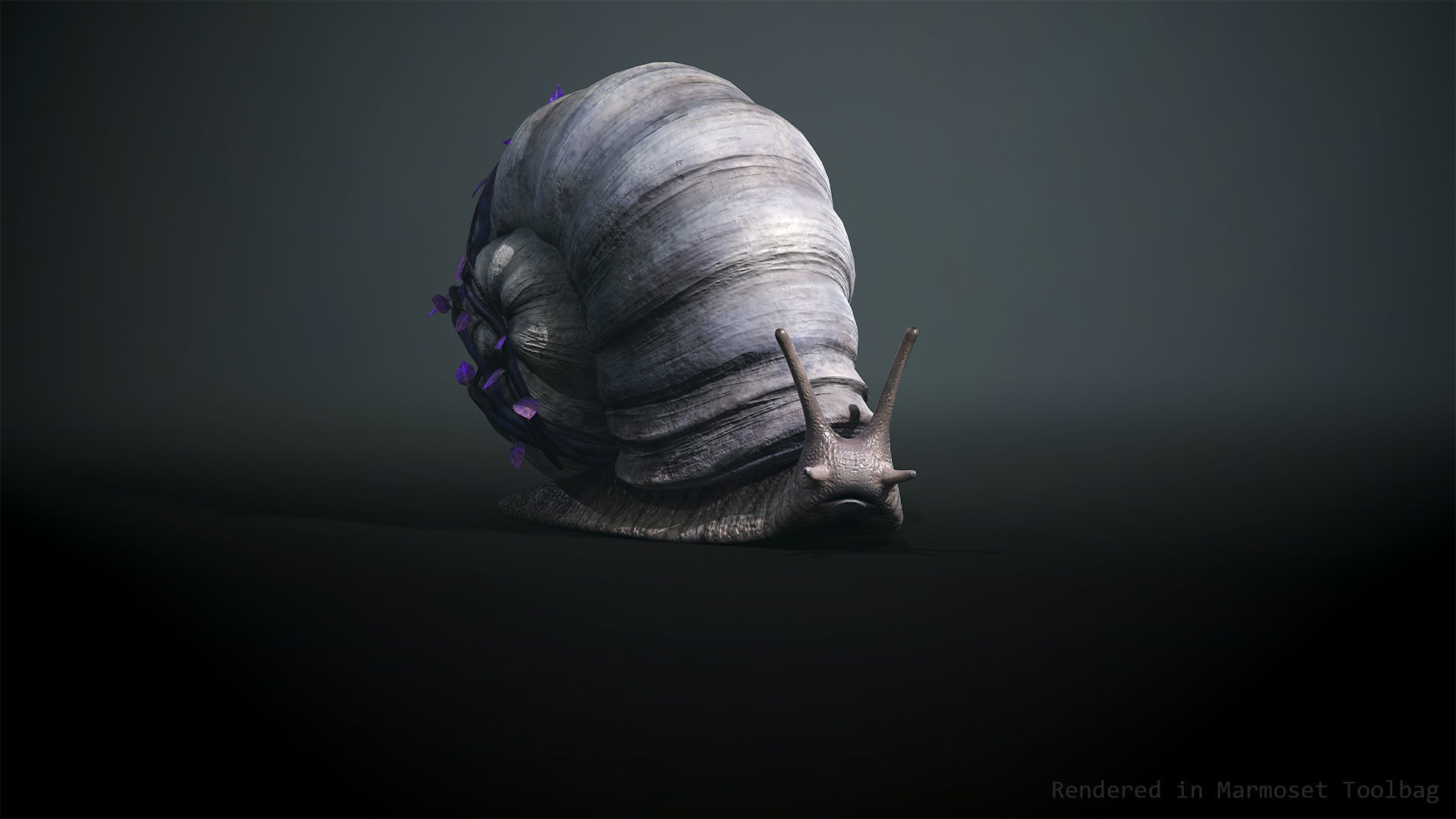 Land snail3 - Game Ready Low-poly 3D model Low-poly 3D model_5