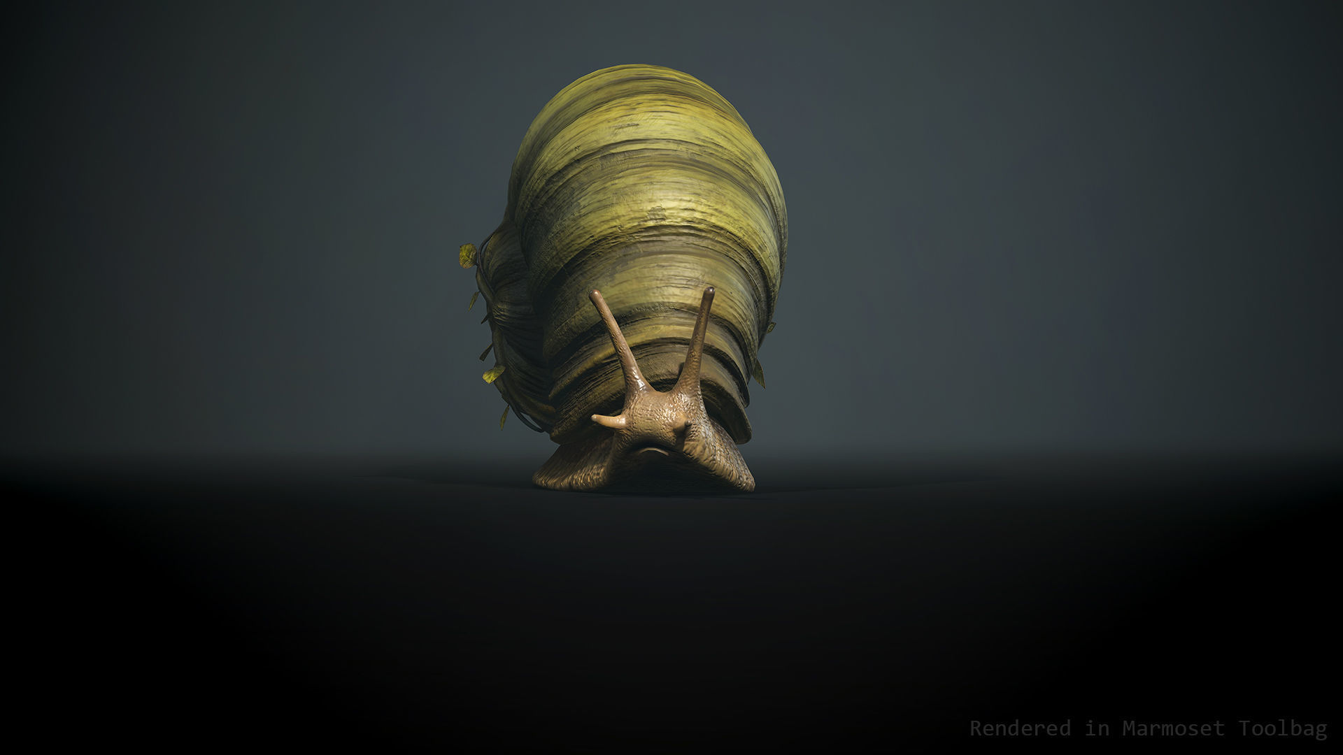 Land snail3 - Game Ready Low-poly 3D model Low-poly 3D model_2