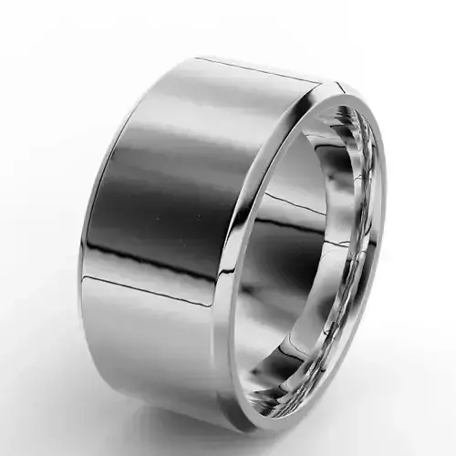 Band 10mm Shank Size8 3D print model