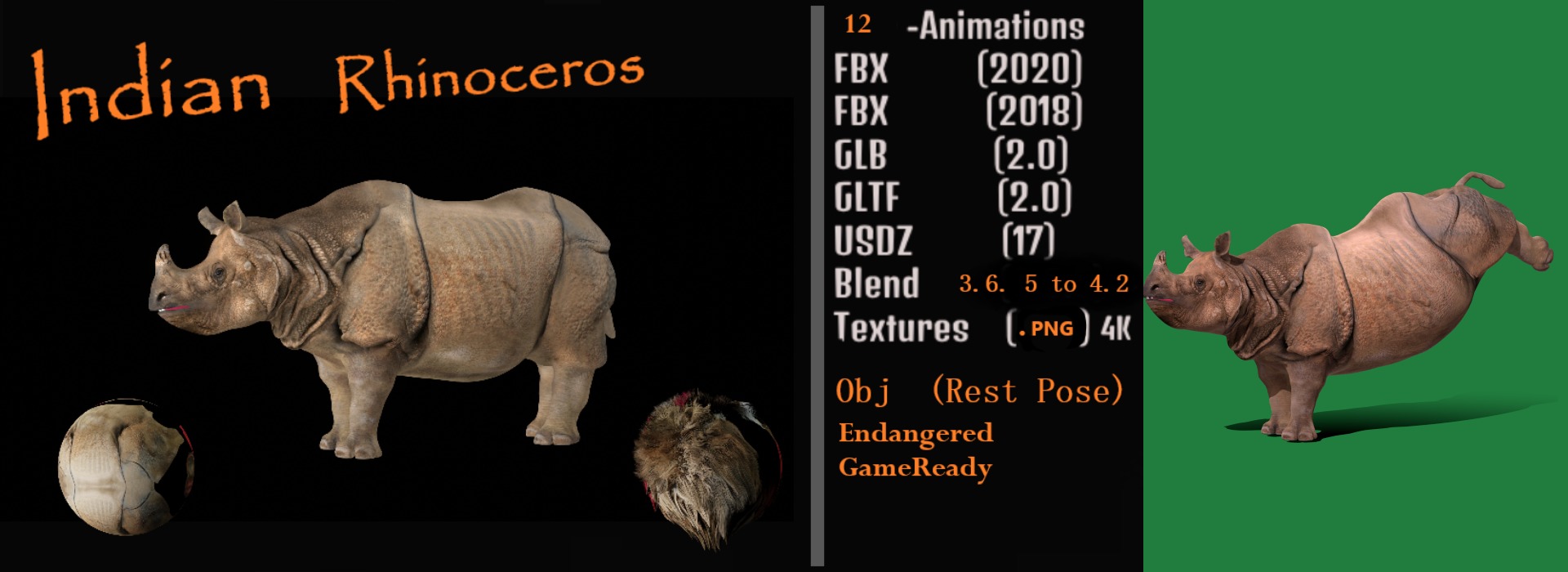 Indian Rhinoceros 3D model_5