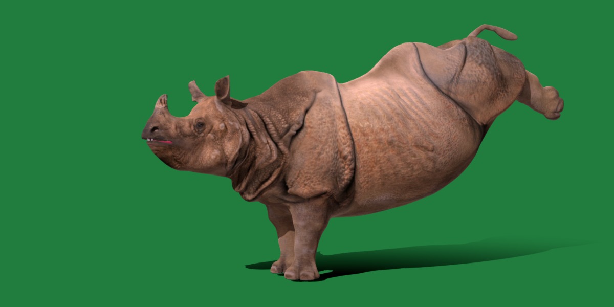 Indian Rhinoceros 3D model_28