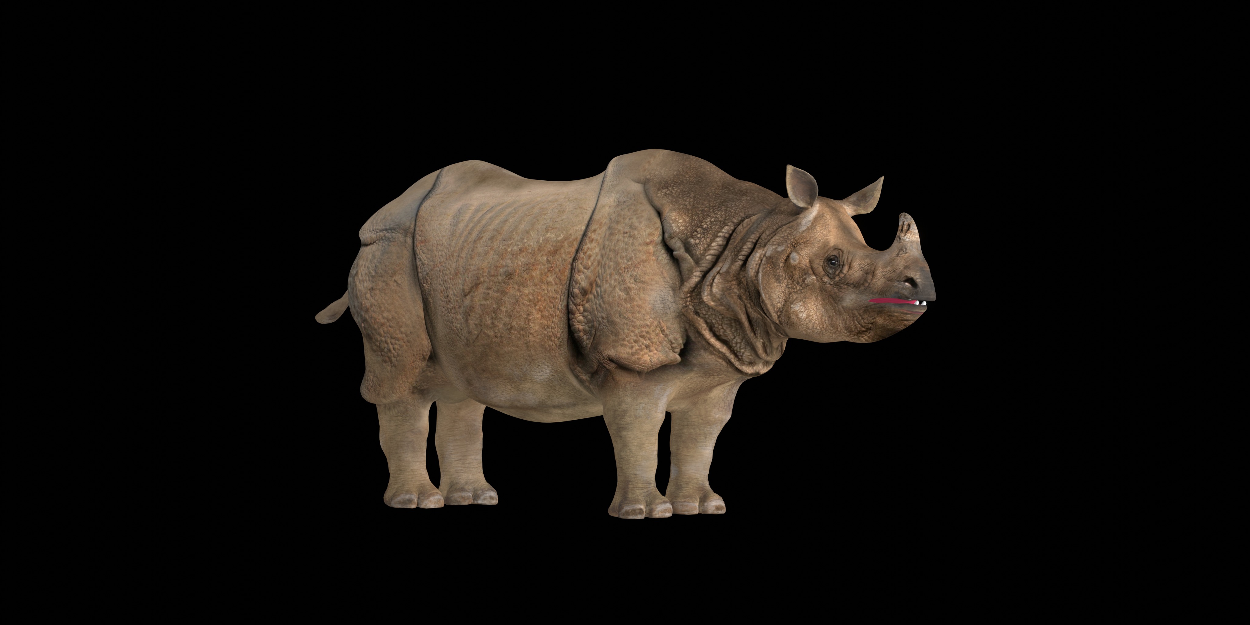 Indian Rhinoceros 3D model_2