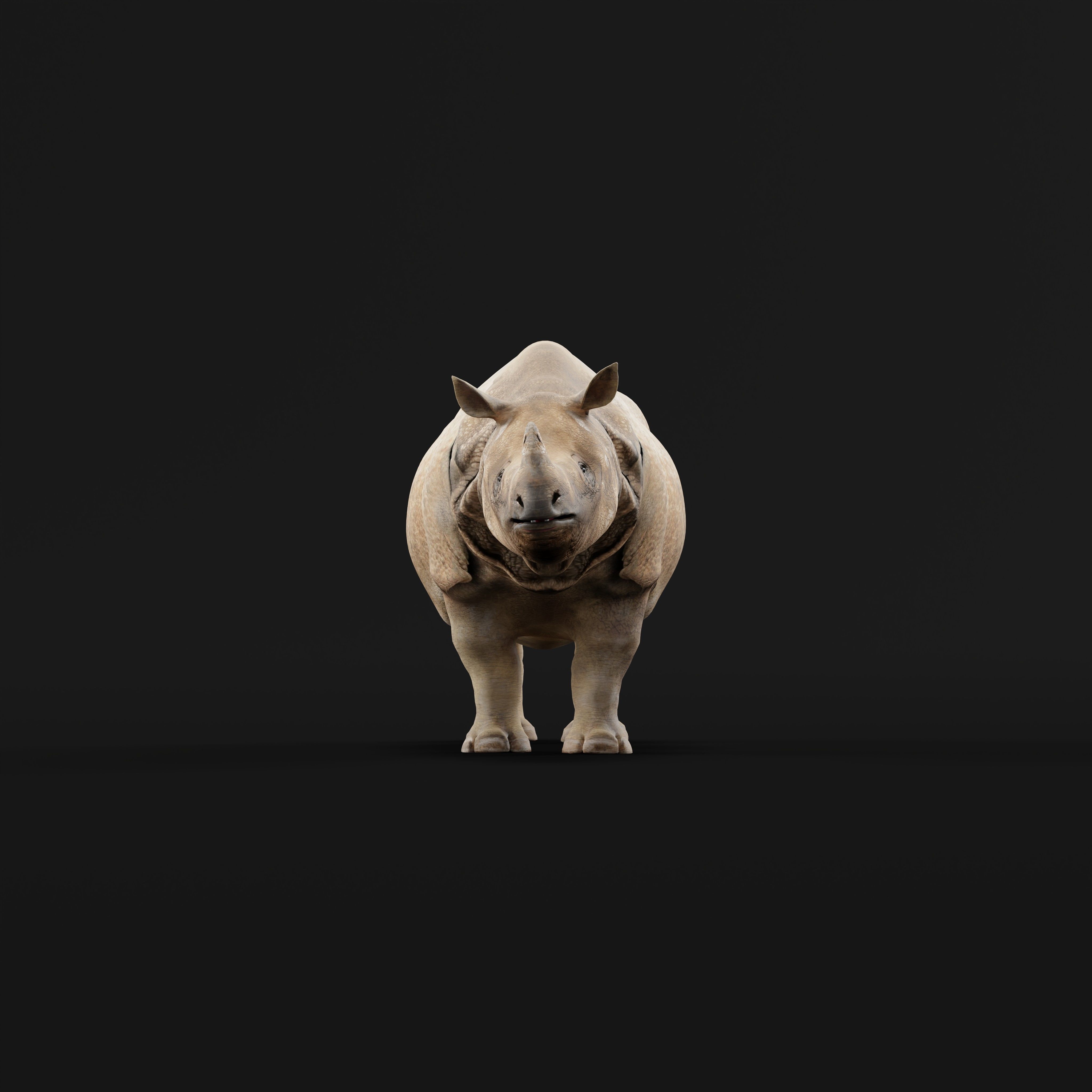 Indian Rhinoceros 3D model_34