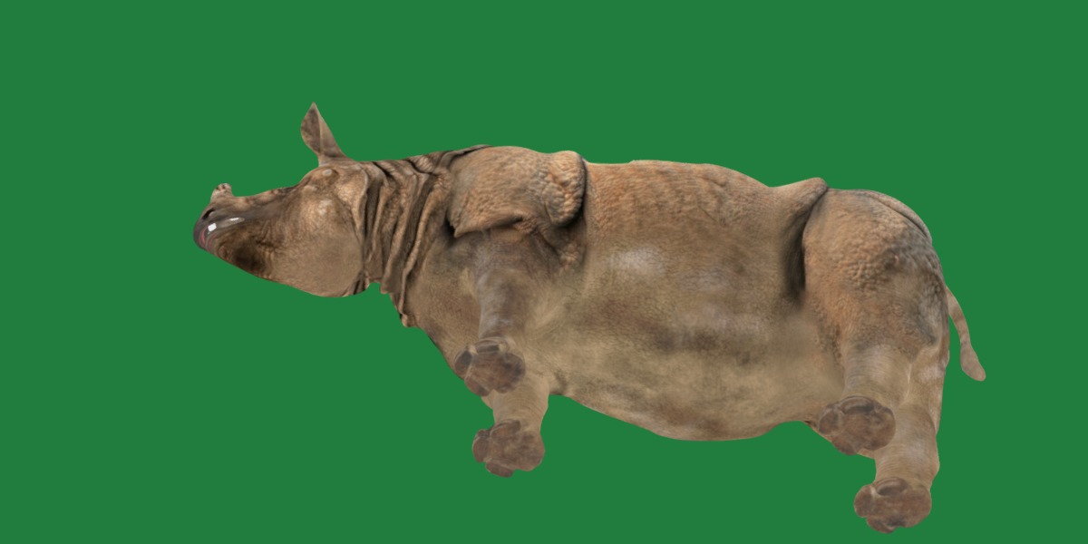 Indian Rhinoceros 3D model_25
