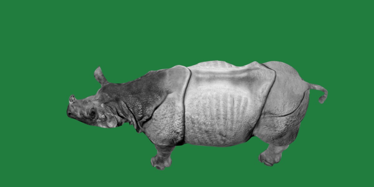 Indian Rhinoceros 3D model_11