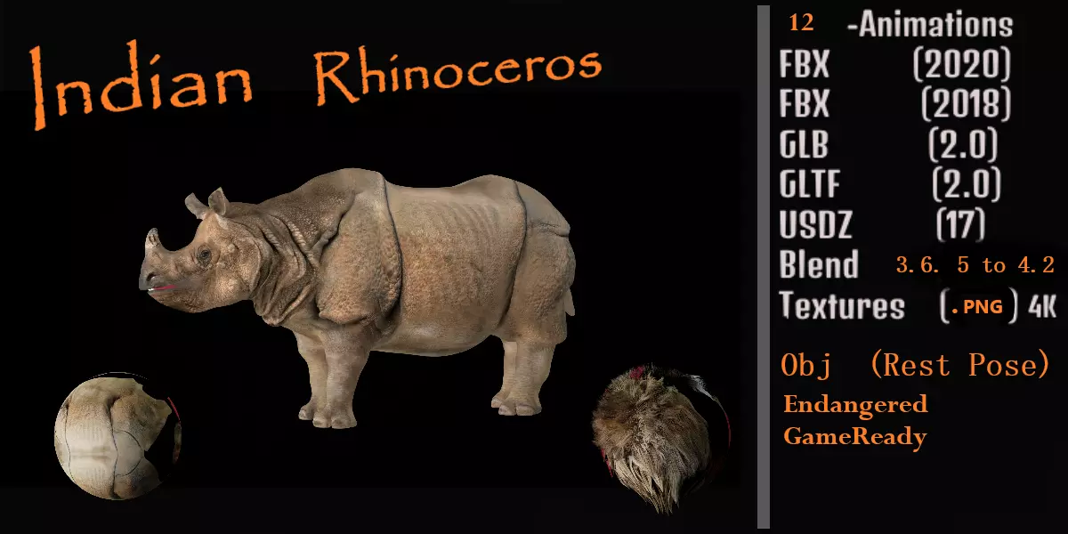 Indian Rhinoceros 3D model_0