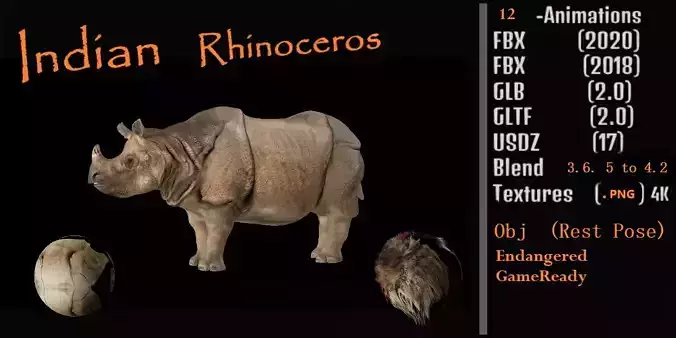 Indian Rhinoceros