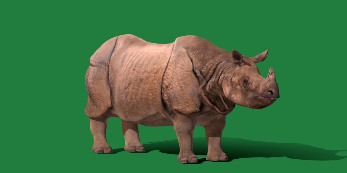 Indian Rhinoceros 3D model_27