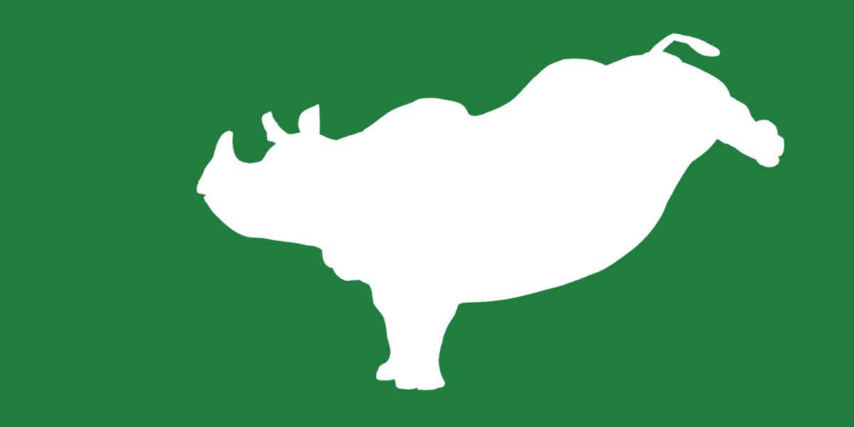 Indian Rhinoceros 3D model_29