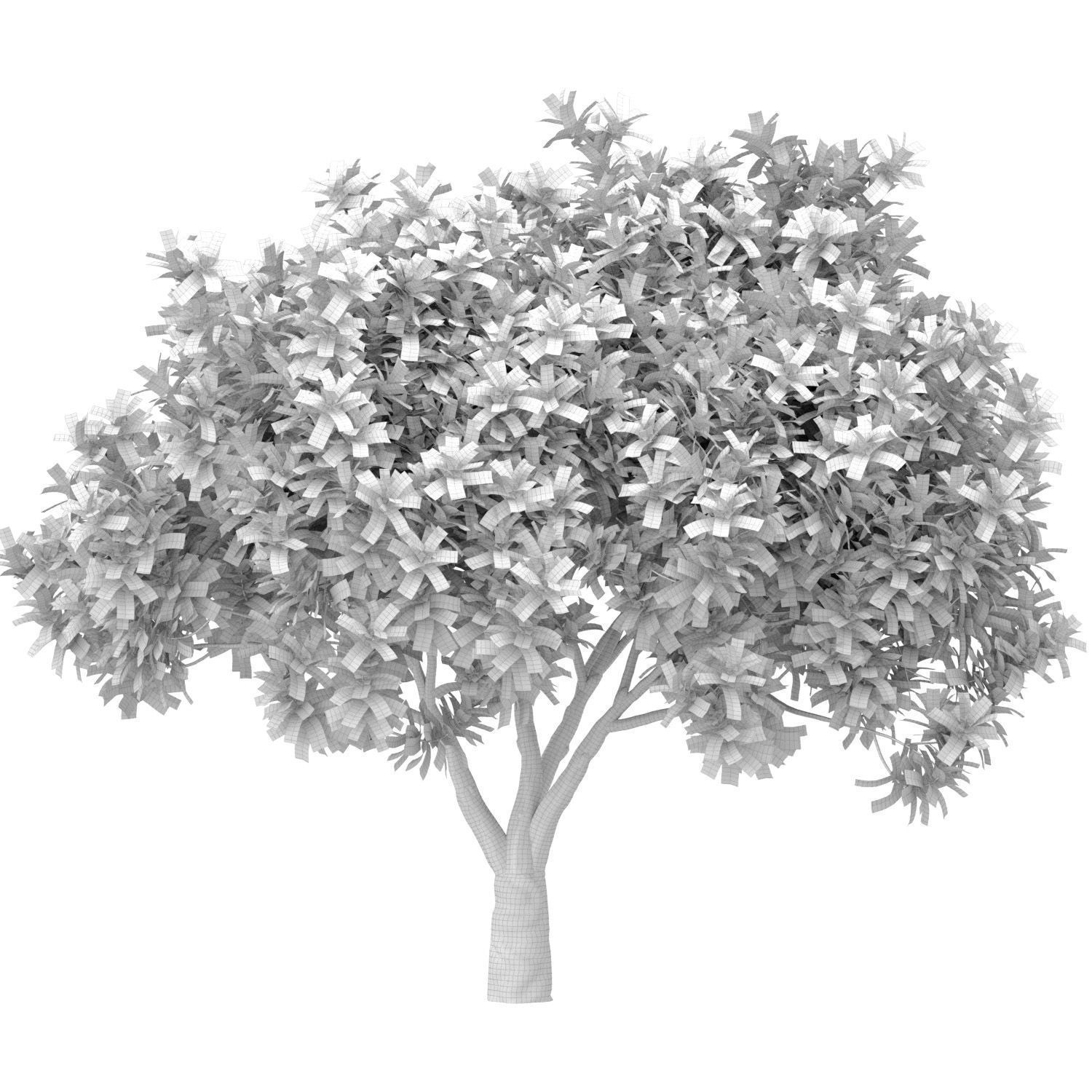 Decorative Evergreen Beautiful Garden Outdoor Tree Shrub 3D model_2