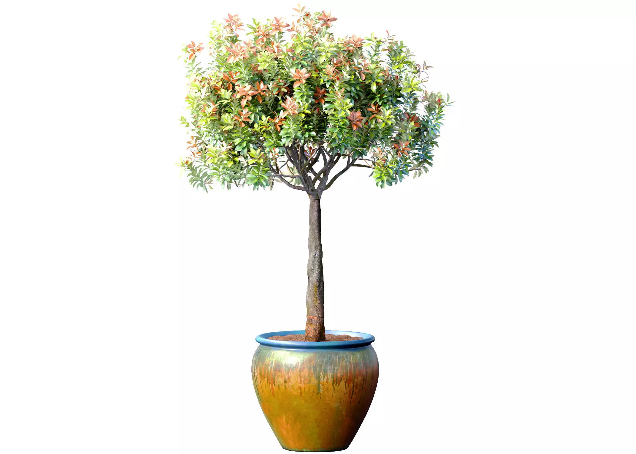Decorative flowering garden tree shrub in a pot pot vase urn  3D model_0