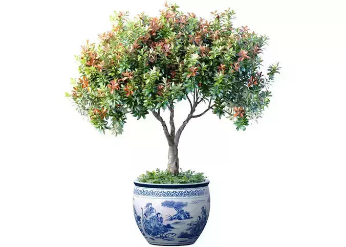 Decorative tree plant shrub Chinese vase pot flowerpot