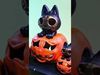 Pumcat - Pumkin Cat Halloween Decoration 3D print model_1