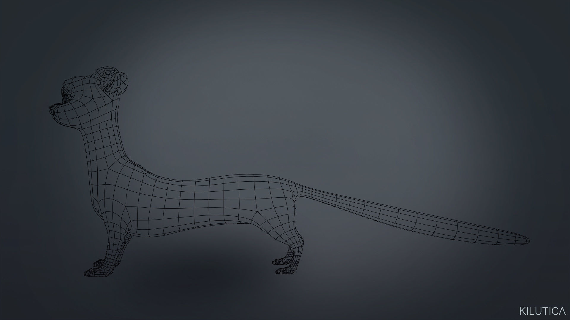 Cartoon Ferret Quadruped Rigged Low-poly 3D model_10