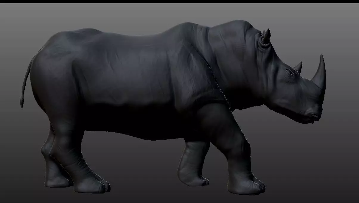 Printable rhino 3D print model_0