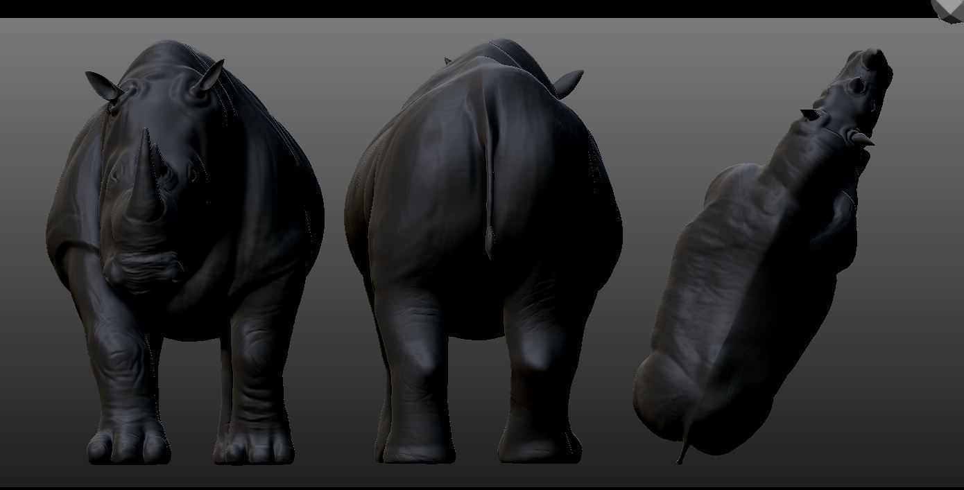 Printable rhino 3D print model_2