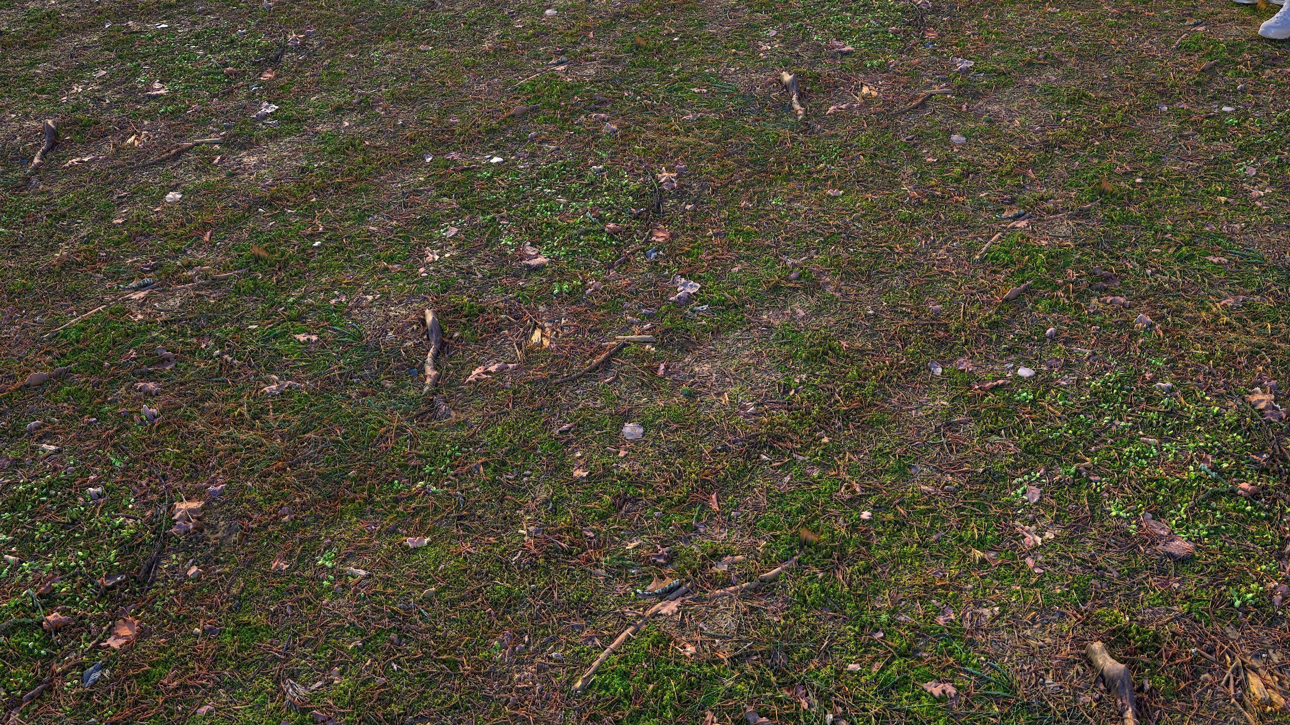 Soil 09 - Scanned Materials Textures Texture_9