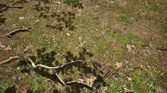 Soil 09 - Scanned Materials Textures