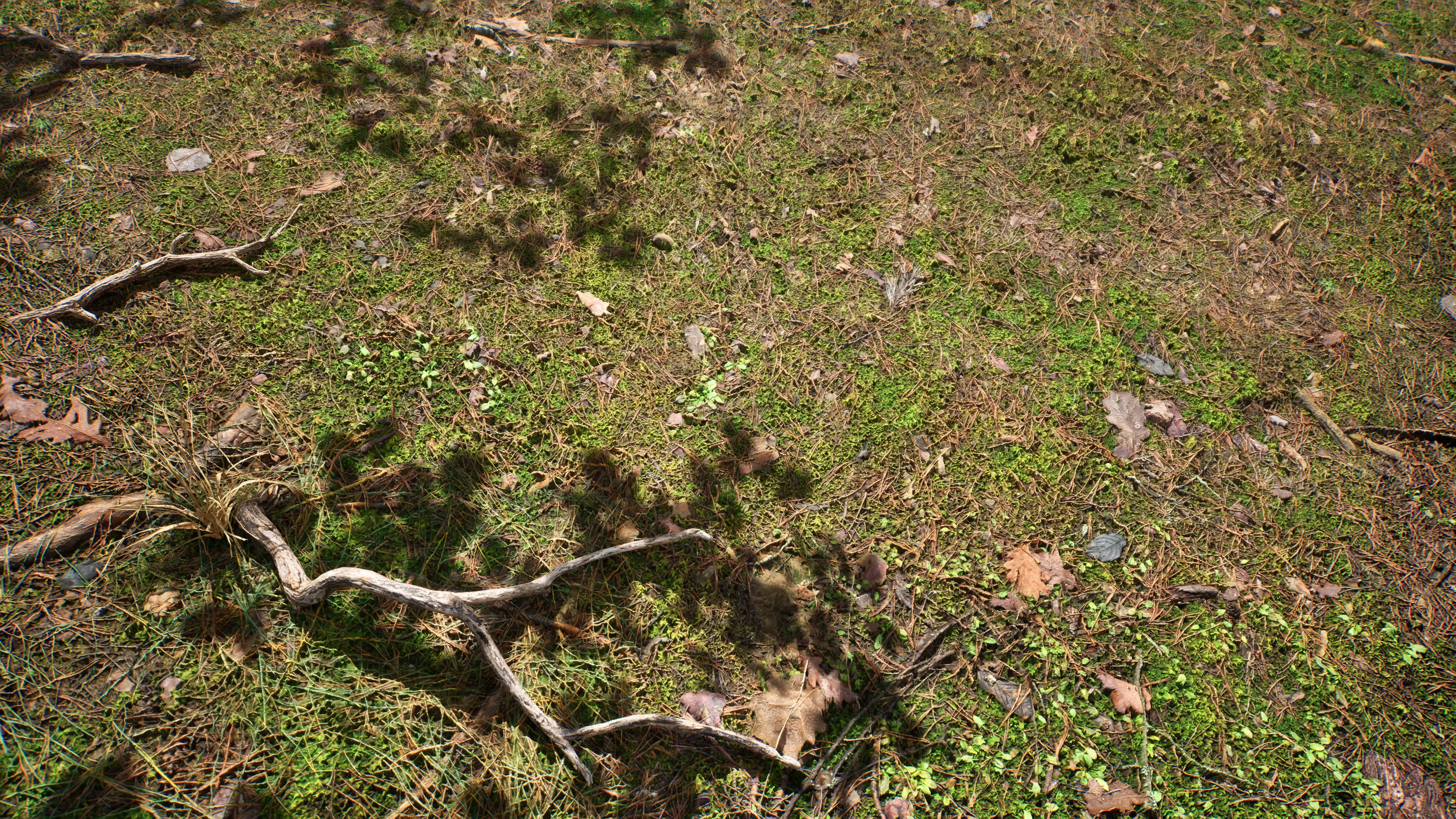 Soil 09 - Scanned Materials Textures Texture_0