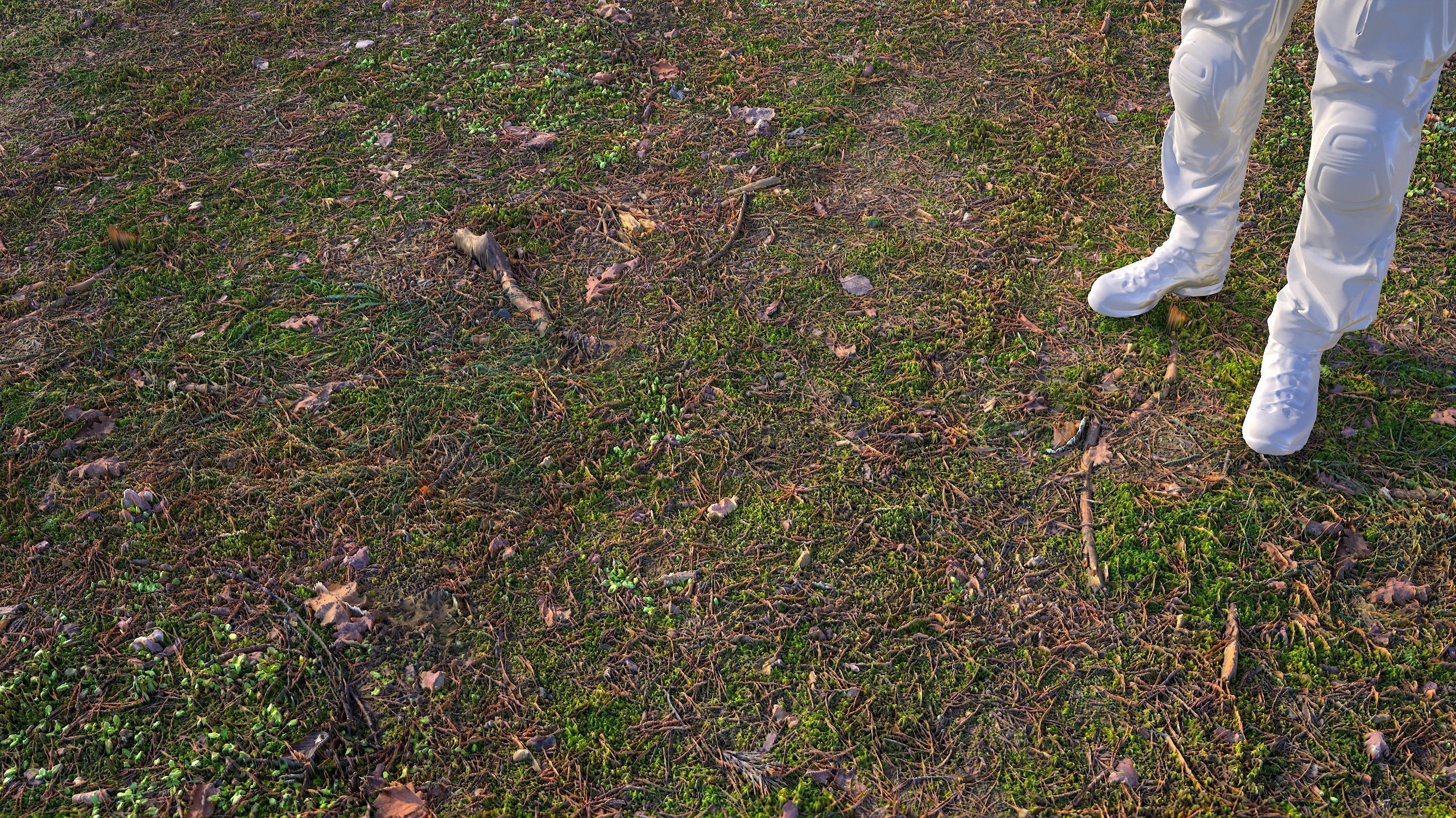 Soil 09 - Scanned Materials Textures Texture_8