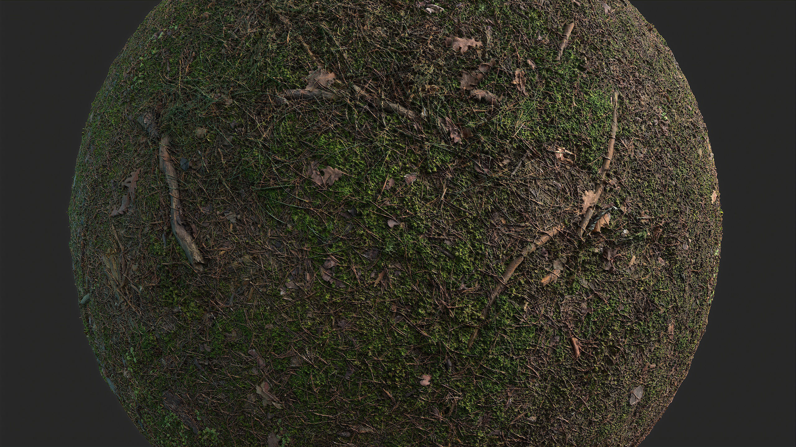 Soil 09 - Scanned Materials Textures Texture_4