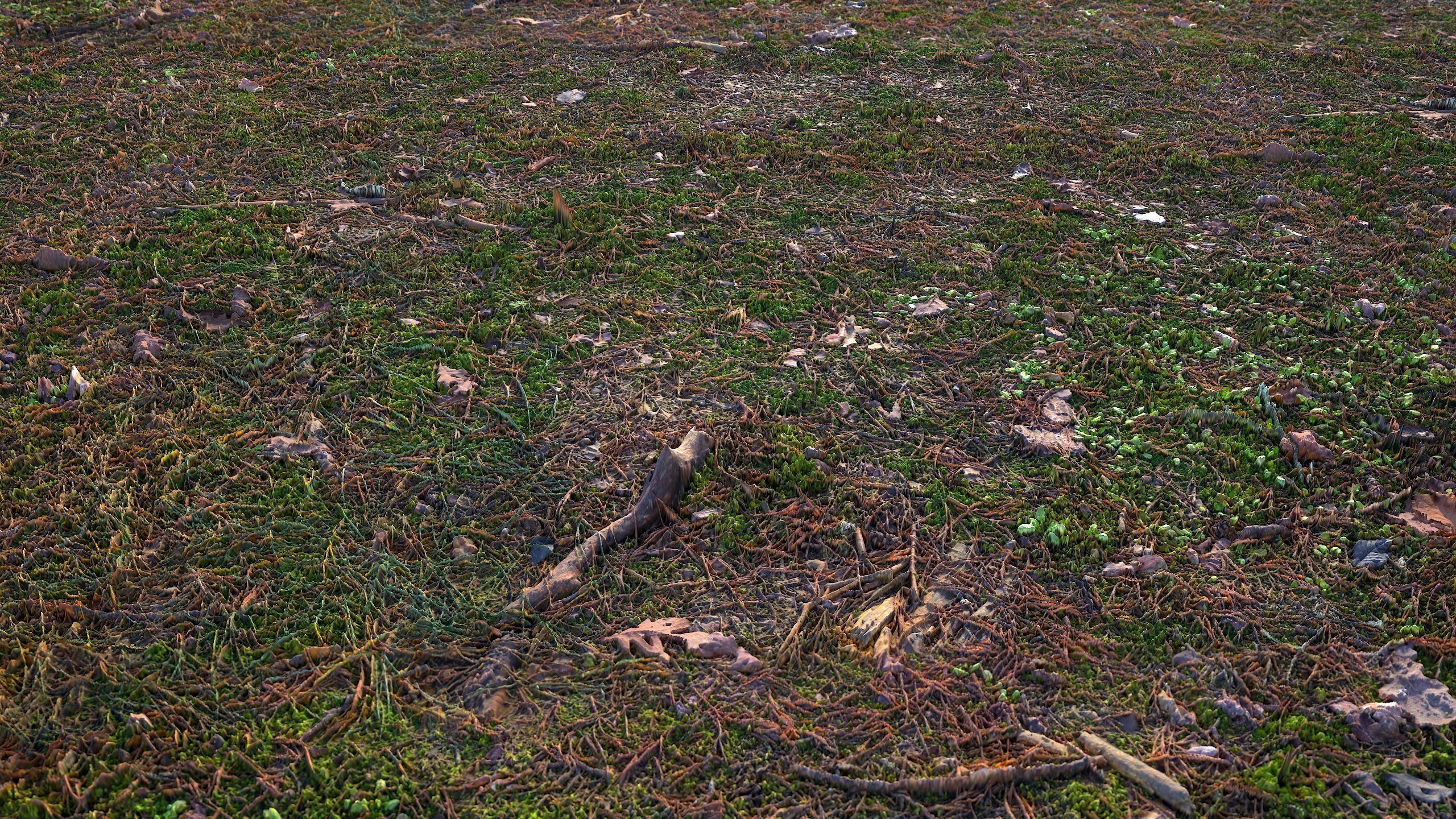 Soil 09 - Scanned Materials Textures Texture_7