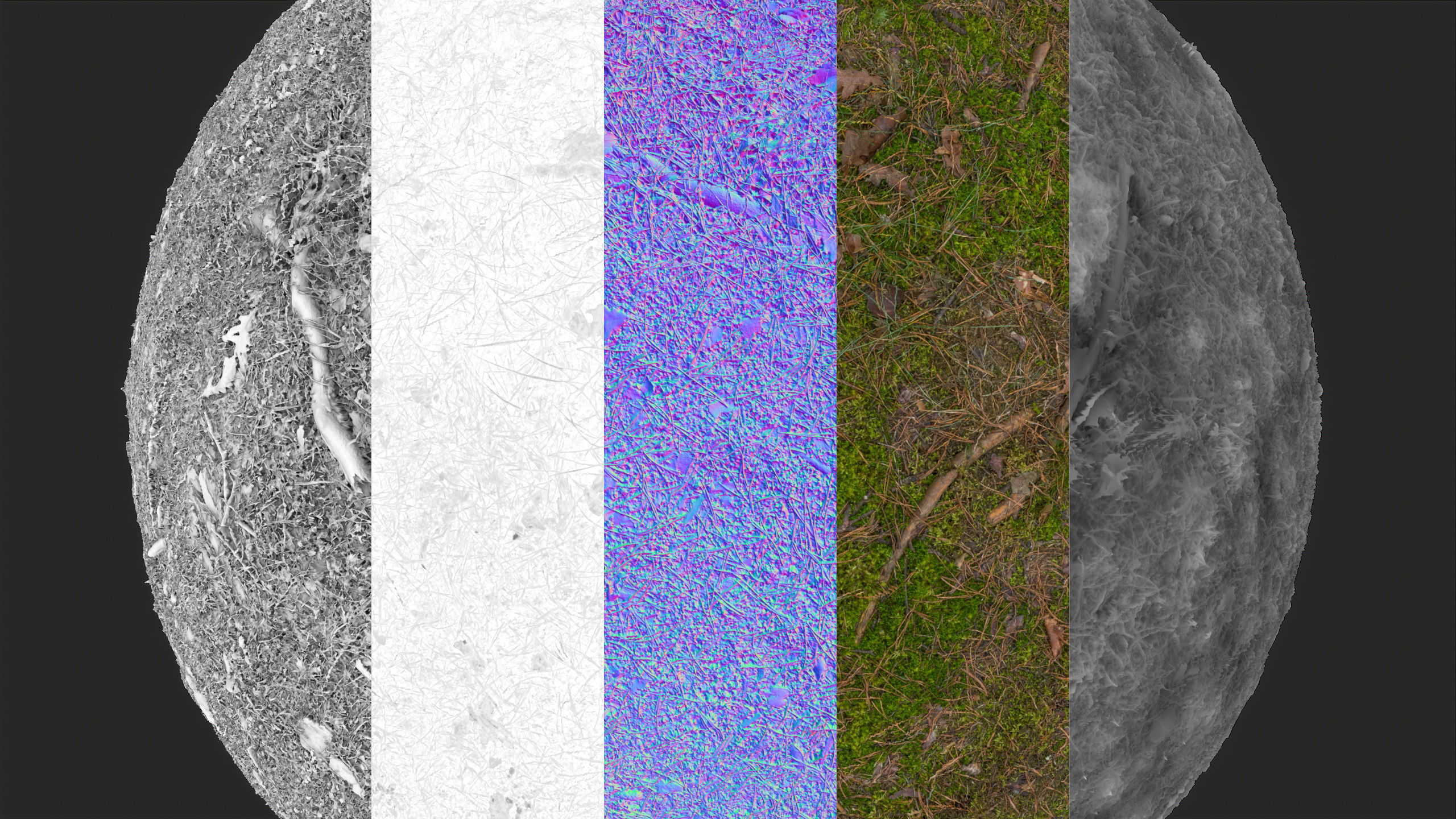 Soil 09 - Scanned Materials Textures Texture_5