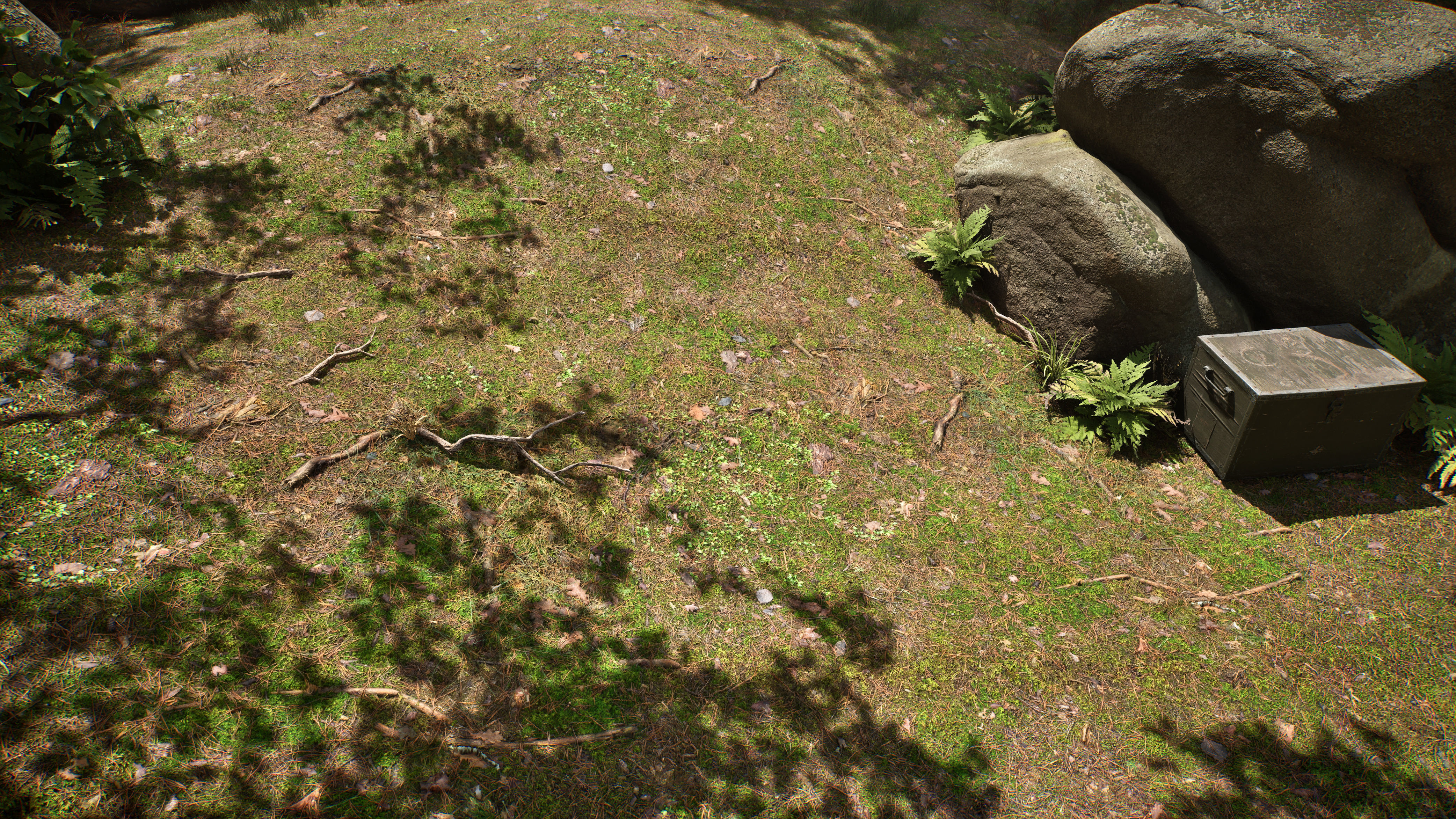 Soil 09 - Scanned Materials Textures Texture_3