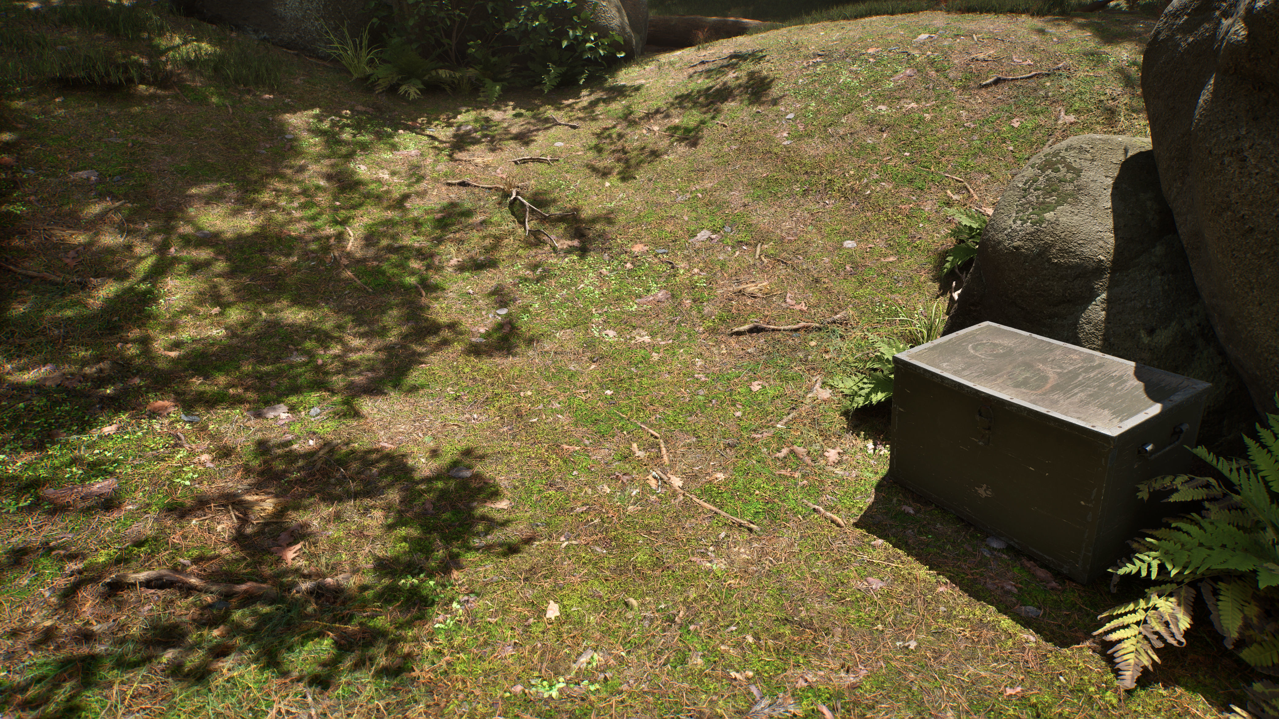 Soil 09 - Scanned Materials Textures Texture_2