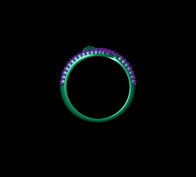 new Ring 3D print model_5