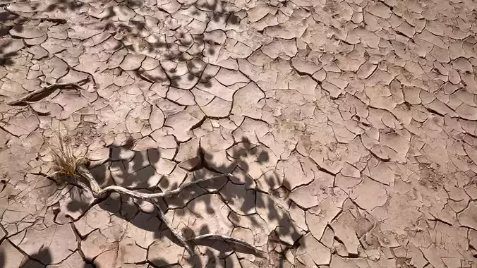 Soil 12 - Scanned Materials Textures