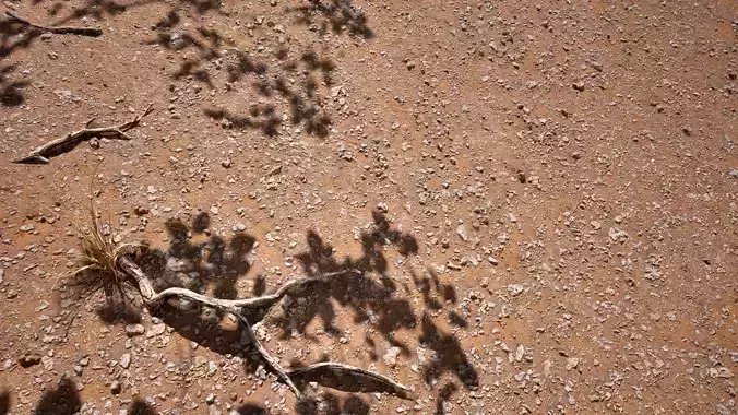 Soil 13 - Scanned Materials Textures