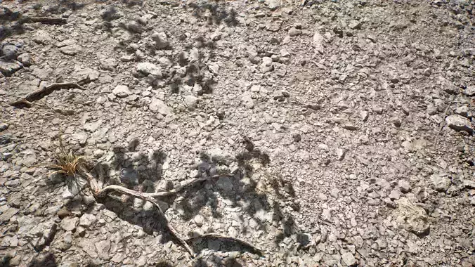 Soil 15 - Scanned Materials Textures