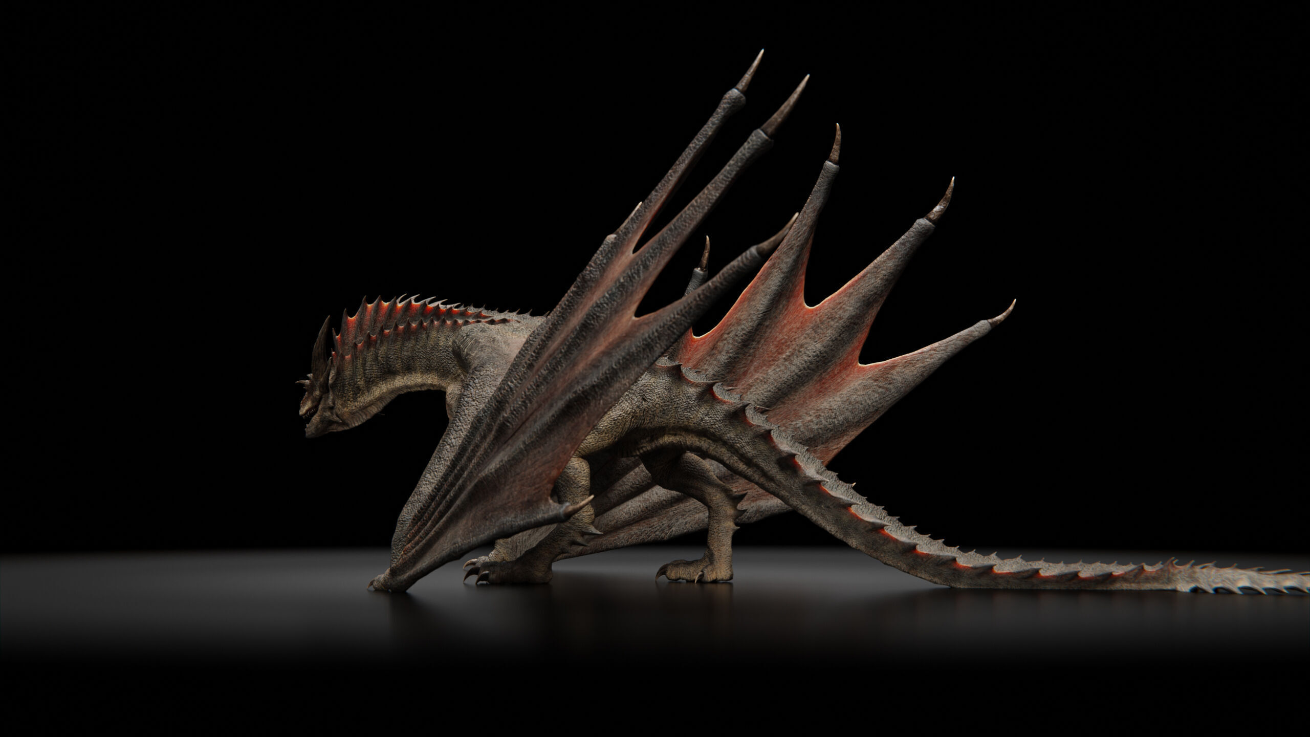 Dragon  Low-poly 3D model_35