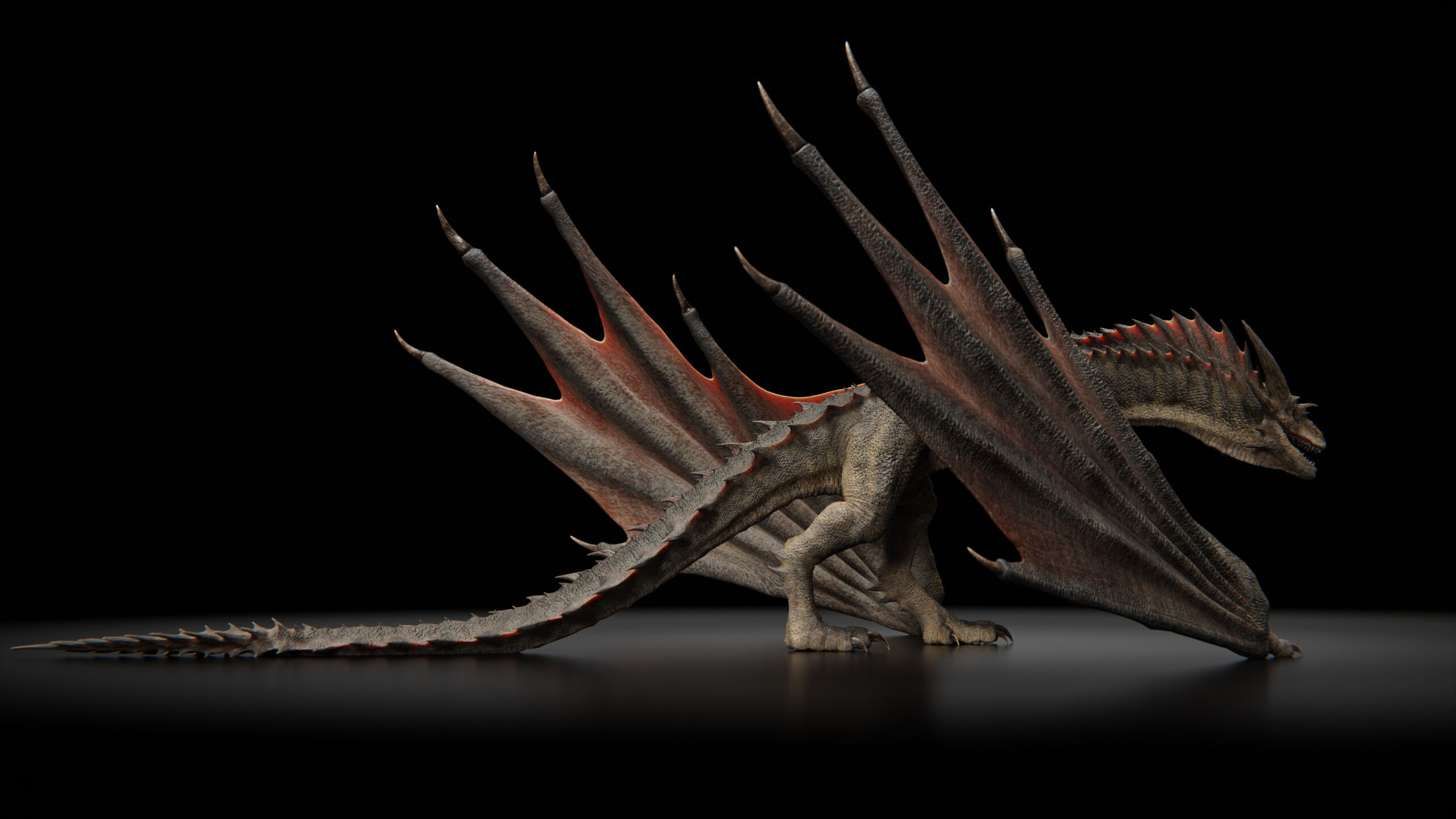 Dragon  Low-poly 3D model_38