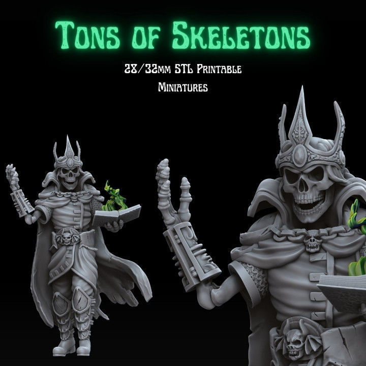 TONS OF SKELETONS - ALL IN PACK 3D print model_15