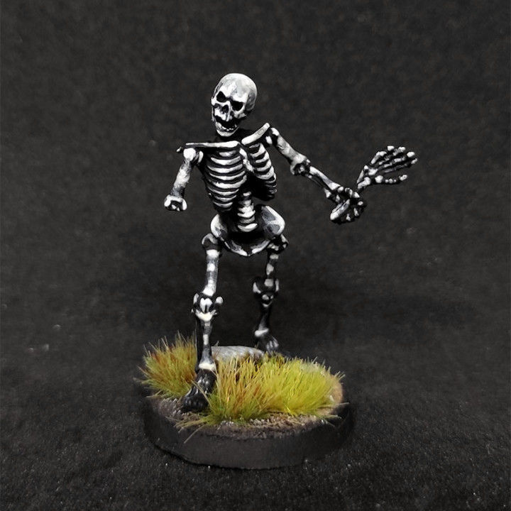 TONS OF SKELETONS - ALL IN PACK 3D print model_3