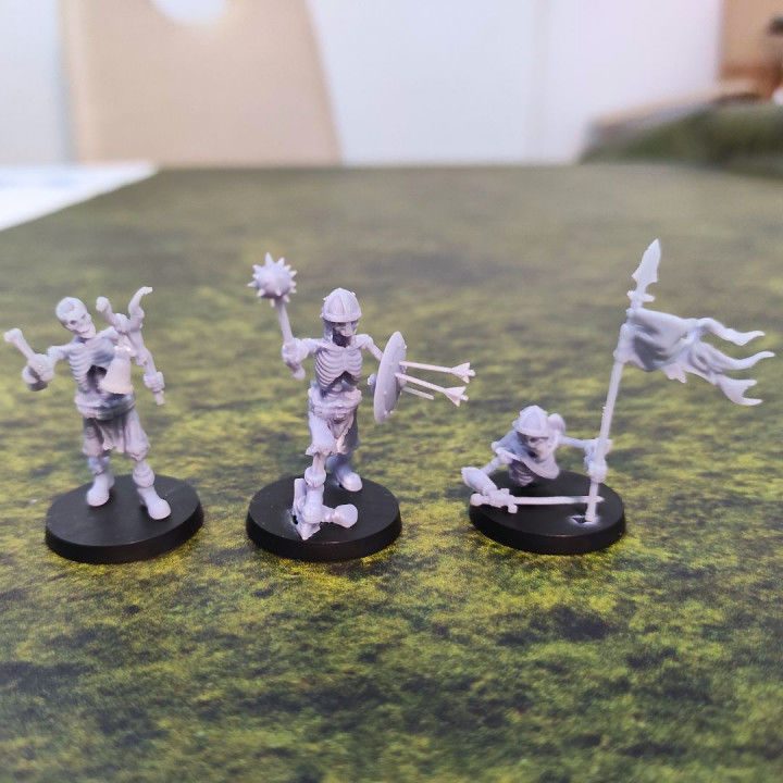TONS OF SKELETONS - ALL IN PACK 3D print model_9